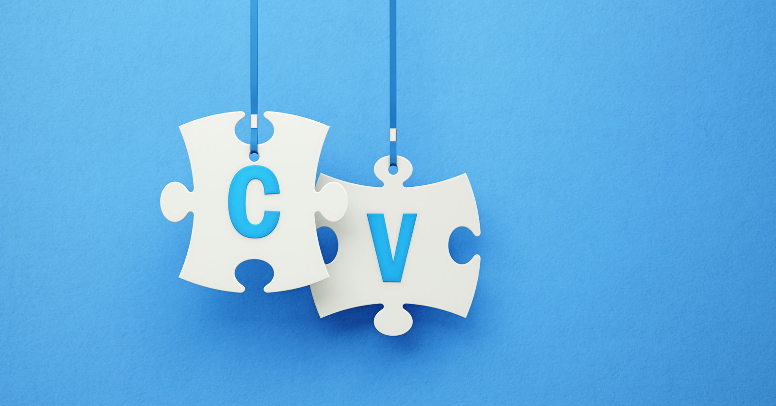 10 Things You Should Never Include on Your CV: A Comprehensive Guide for Job Seekers